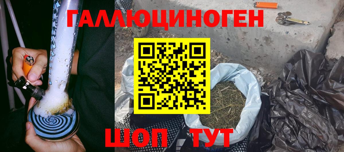 Галлюциногенные грибы Psilocybine cubensis  Вход с VPN  Избербаш 